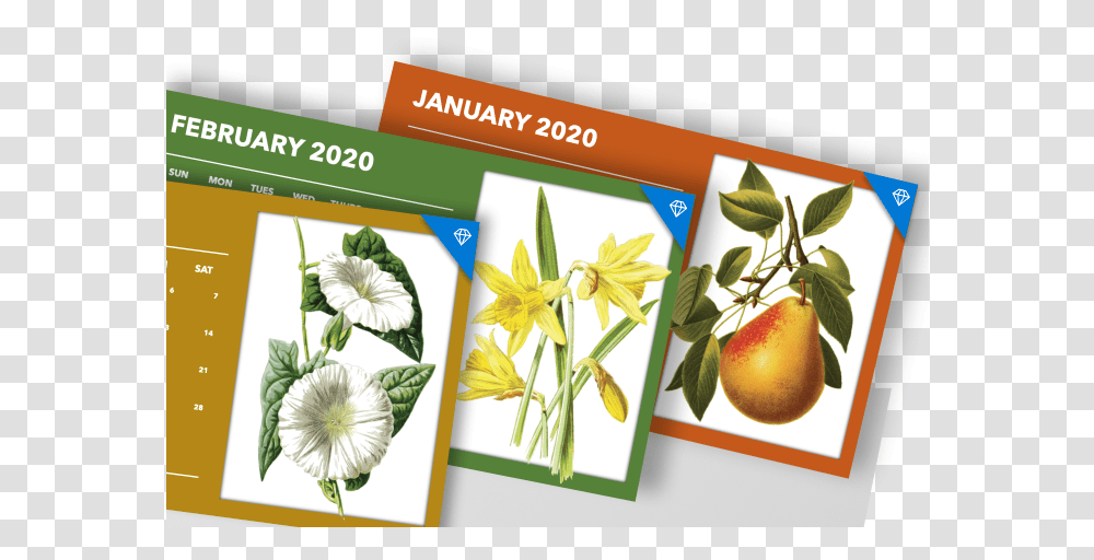 Calendars Passion Flower, Plant, Poster, Advertisement Transparent Png