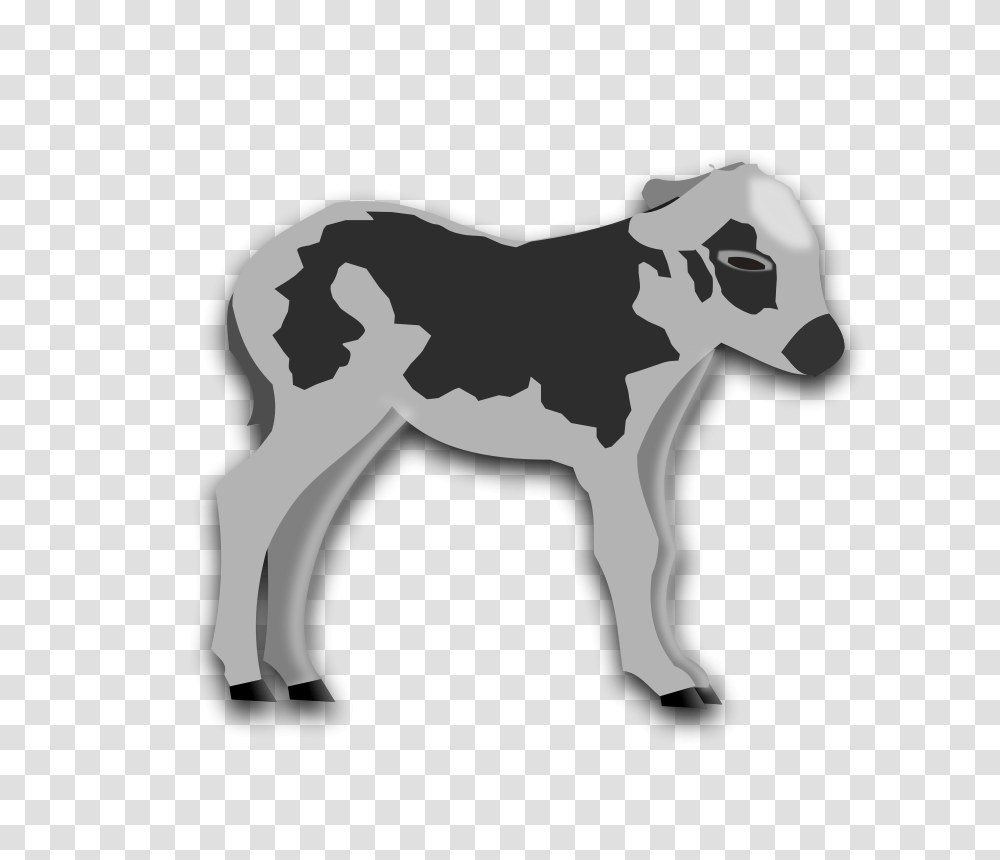 Calf, Animals, Mammal, Donkey, Horse Transparent Png