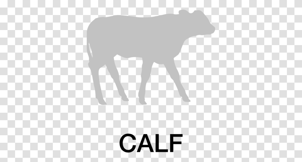 Calf Icon Calf, Mammal, Animal, Horse, Stencil Transparent Png