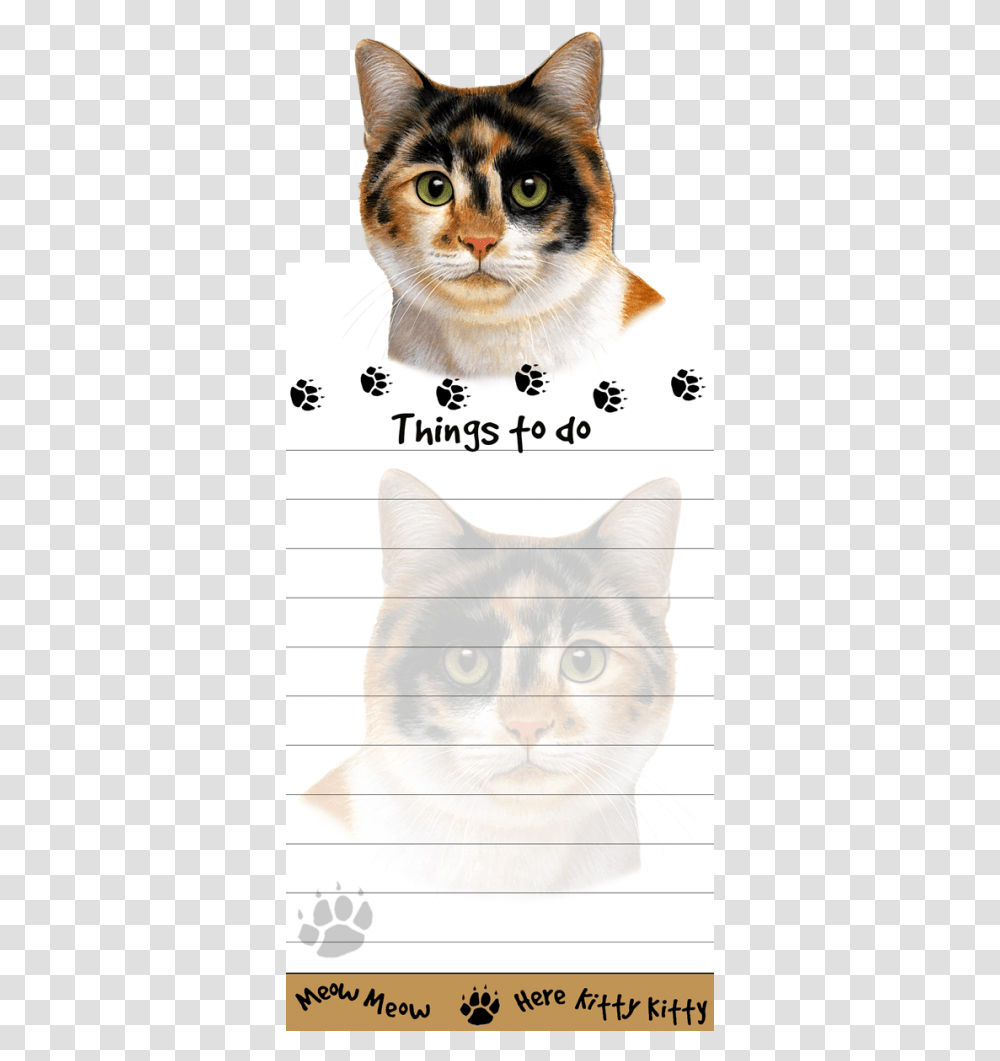 Calico Cat Domestic Short Haired Cat, Mammal, Animal, Pet, Rodent Transparent Png