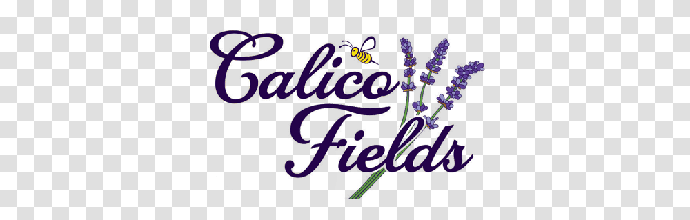 Calico Fields, Doodle, Drawing Transparent Png