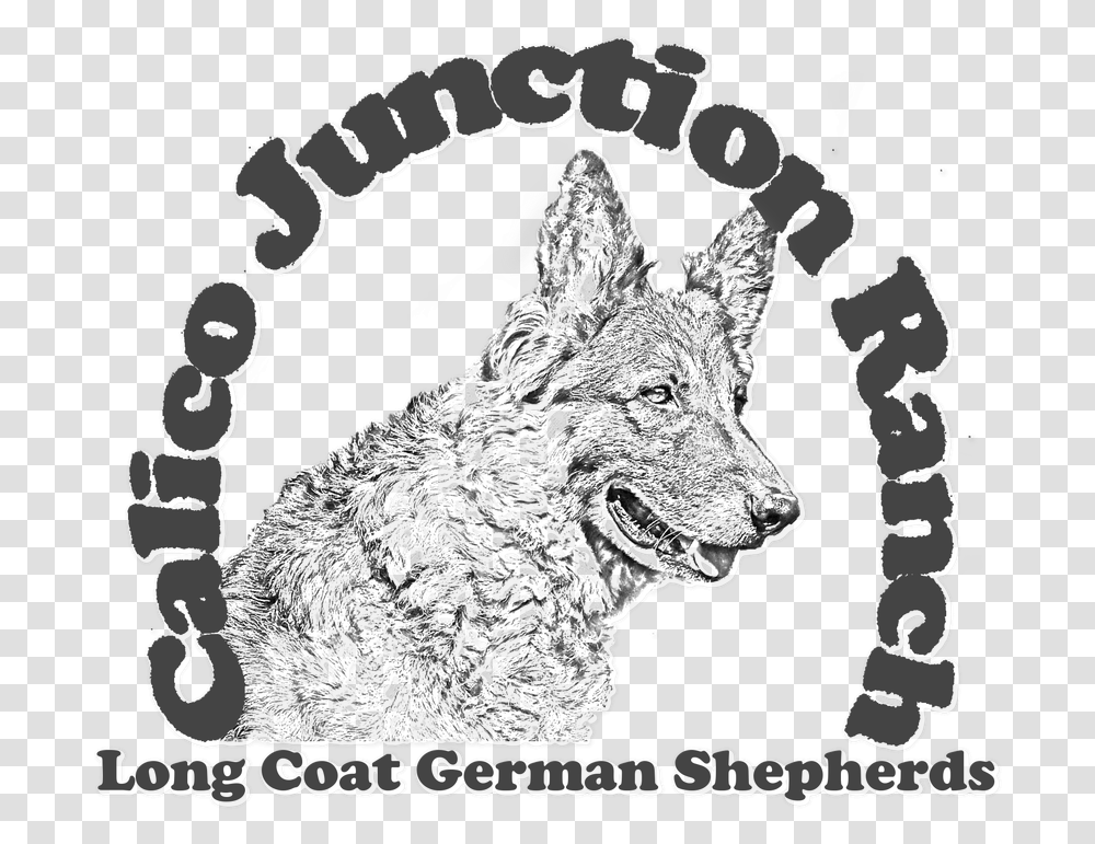 Calico Junction Ranch Long Coat German Shepherds Calico Love Nerds, Mammal, Animal, Coyote, Dog Transparent Png