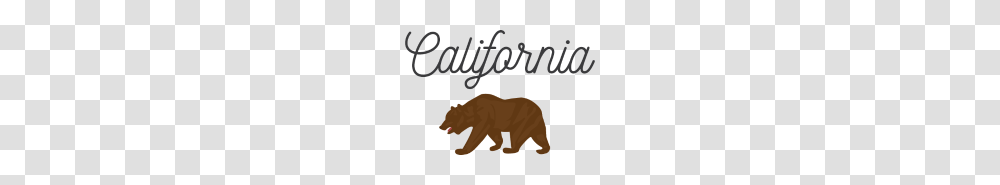 California Bear, Mammal, Animal, Wildlife Transparent Png