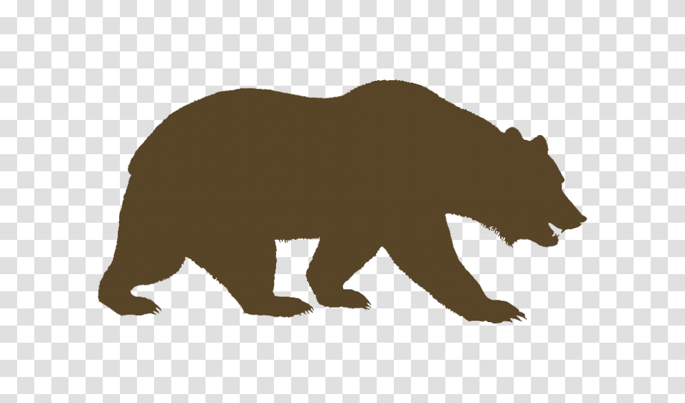 California Clip Art, Mammal, Animal, Wildlife, Lion Transparent Png