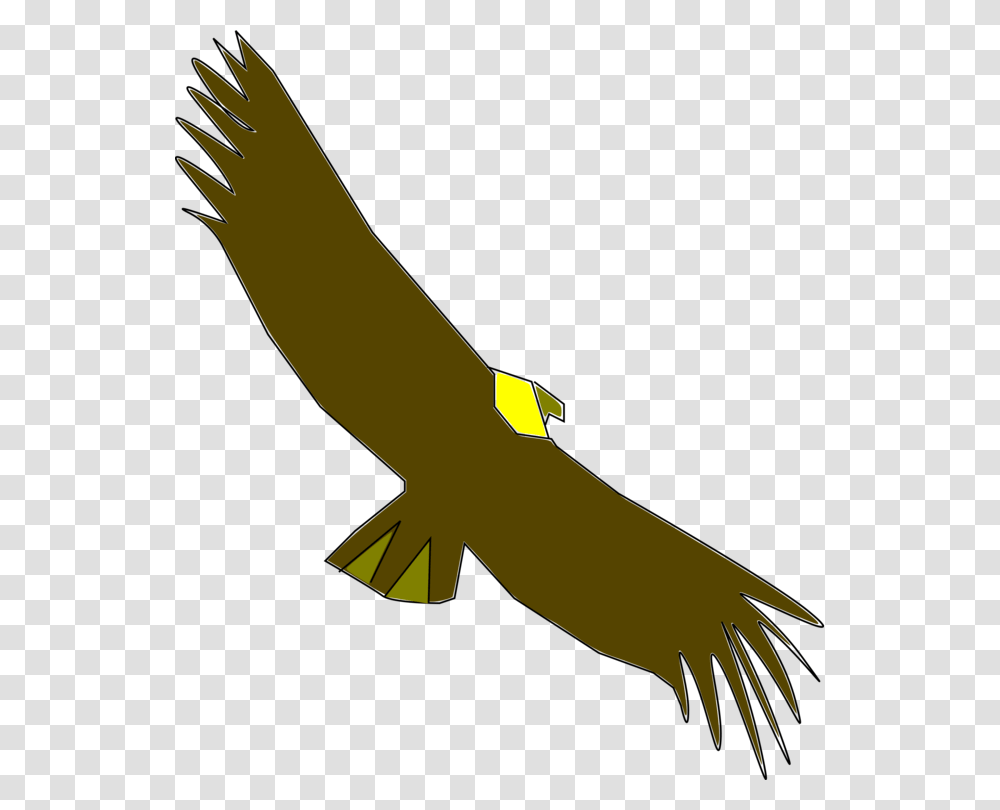 California Condor Bird Computer Icons Vulture, Animal, Flying, Arm, Fish Transparent Png