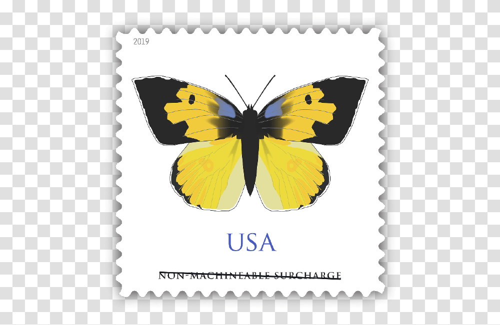 California Dogface Butterfly Stamp, Postage Stamp, Animal, Insect, Invertebrate Transparent Png