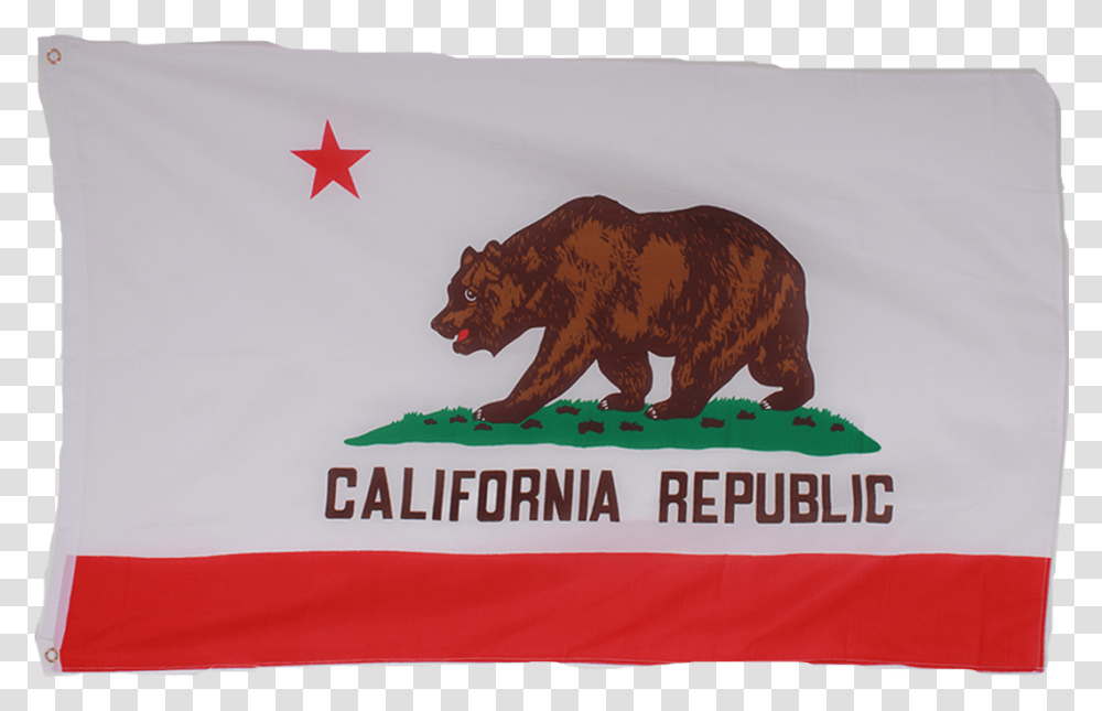 California Flag, Wildlife, Animal, Mammal, Brown Bear Transparent Png