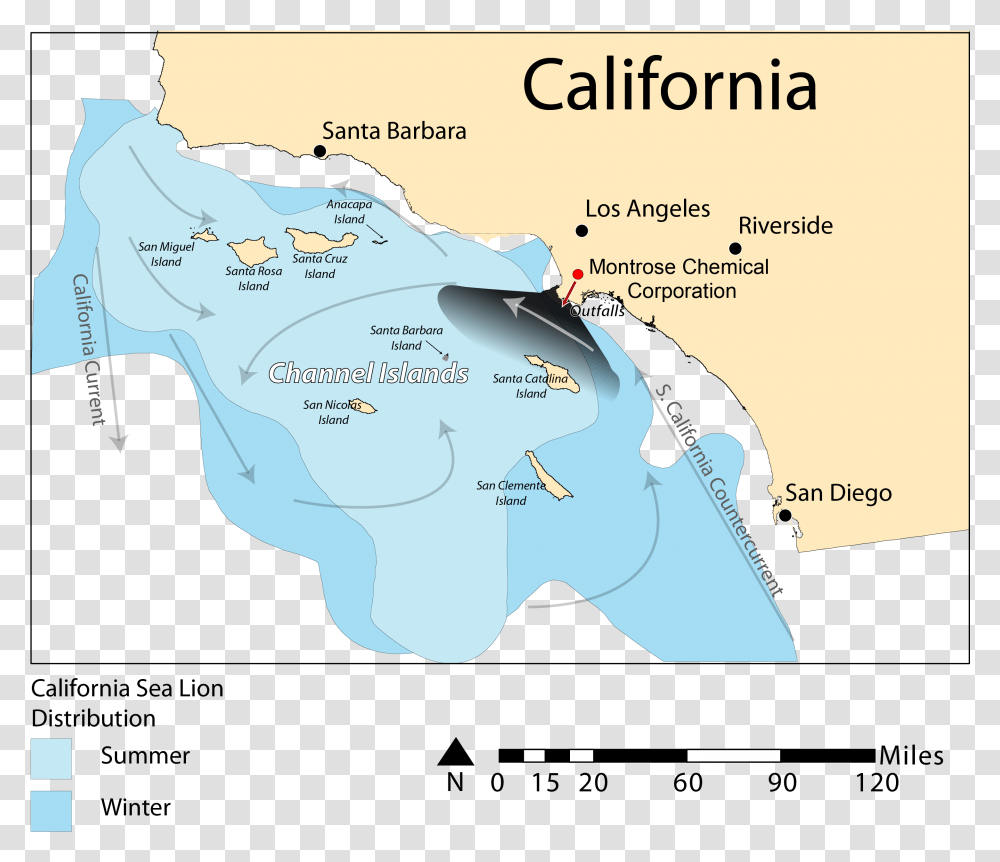 California Outline California Sea Lion Map, Diagram, Plot, Atlas, Nature Transparent Png