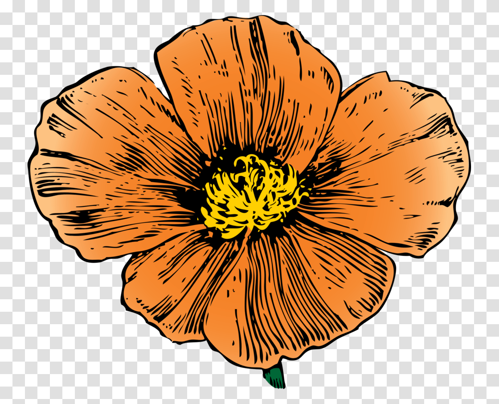 California Poppy Computer Icons Poppies, Plant, Anther, Flower, Blossom Transparent Png