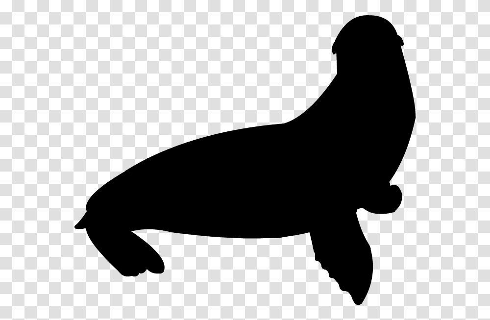 California Sea Lion Silhouette, Gray, World Of Warcraft Transparent Png