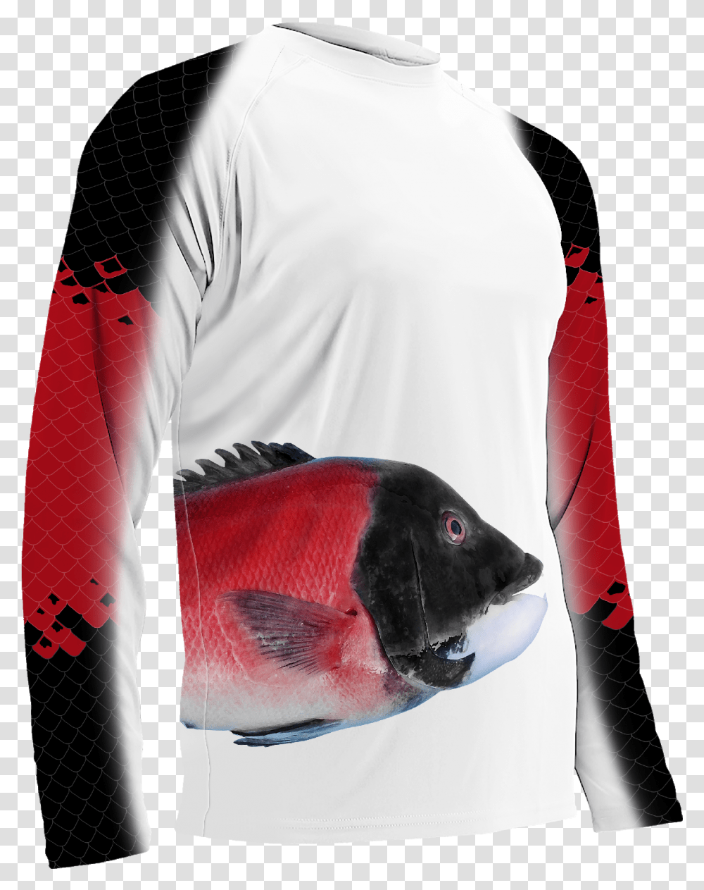 California Sheephead, Sleeve, Apparel, Long Sleeve Transparent Png