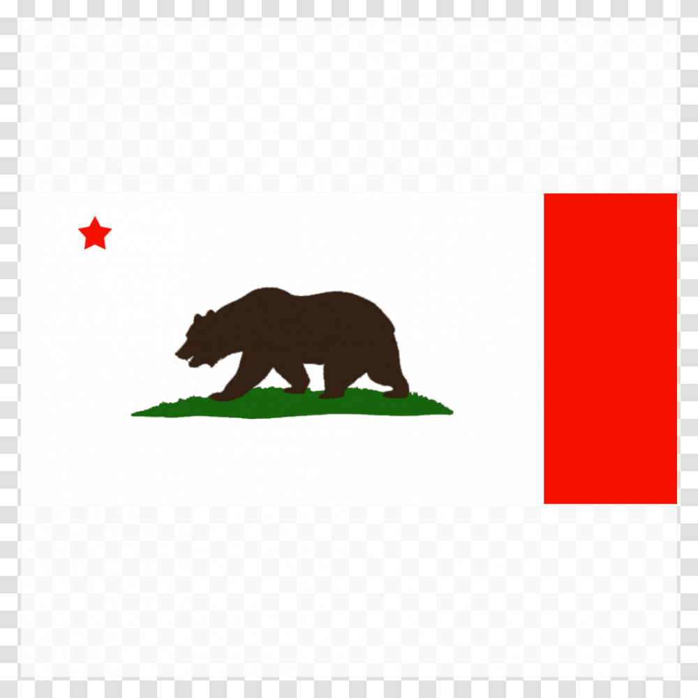 California State Flag Bat, Mammal, Animal, Wildlife, Bear Transparent Png