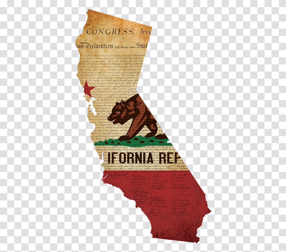 California State Low California State Flag, Mammal, Animal, Person Transparent Png