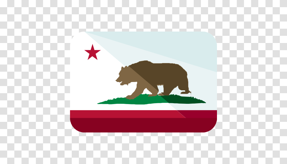 California, Bear, Wildlife, Mammal Transparent Png