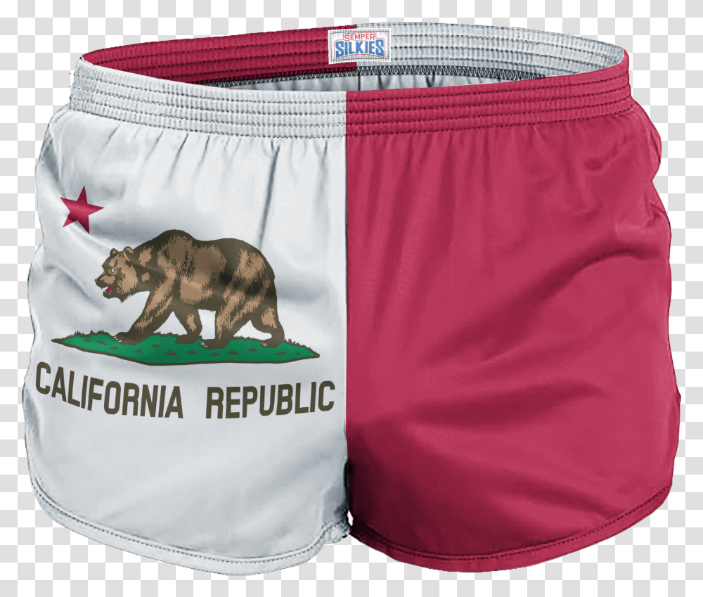 California Underpants, Diaper, Clothing, Apparel, Shorts Transparent Png