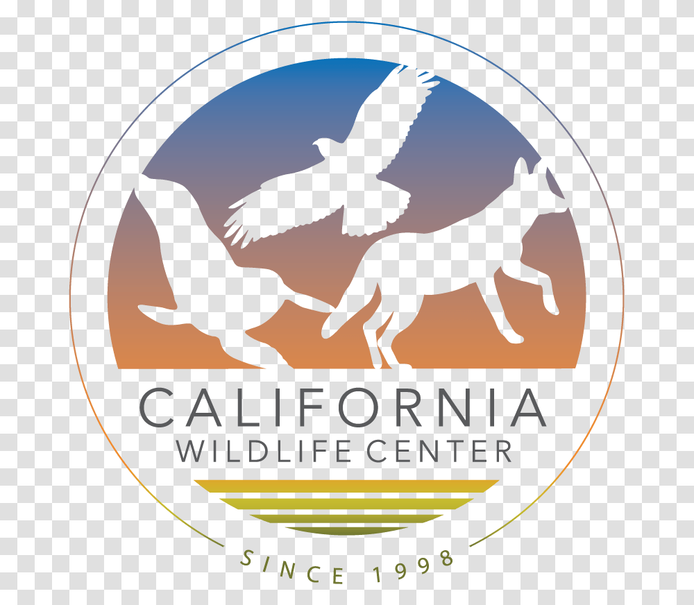 California Wildlife Center, Advertisement, Horse, Animal, Poster Transparent Png