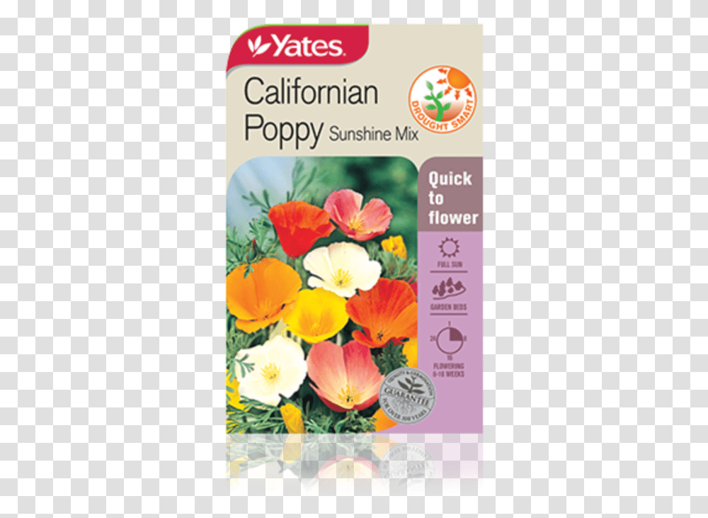 Californian Poppy Sunshine Mix Plants For Cottage Garden Nz, Flower, Blossom, Petal, Advertisement Transparent Png