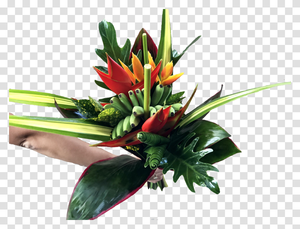 Calipso Medium Tropical Centerpieces, Plant, Flower, Blossom, Flower Bouquet Transparent Png