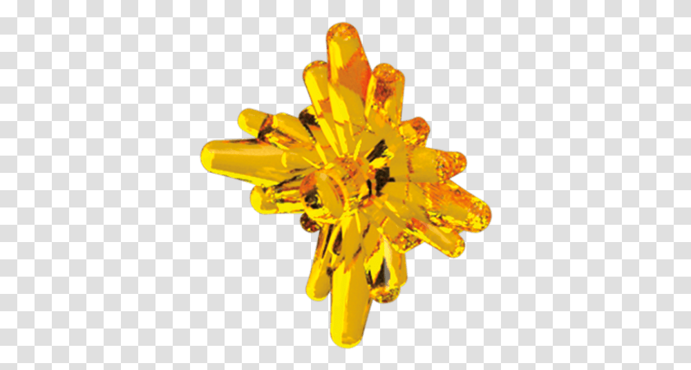 Call Of Duty Flower, Pollen, Plant, Anther, Blossom Transparent Png