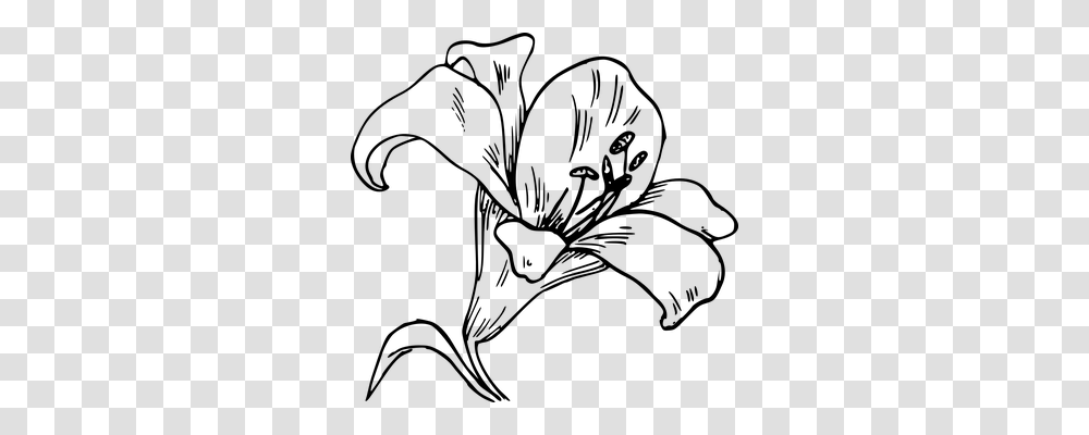 Calla Nature, Gray, World Of Warcraft Transparent Png