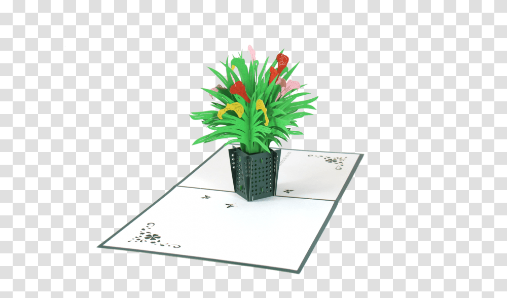 Calla Lily Basket Pop Up Card, Tabletop, Plant, Potted Plant, Vase Transparent Png