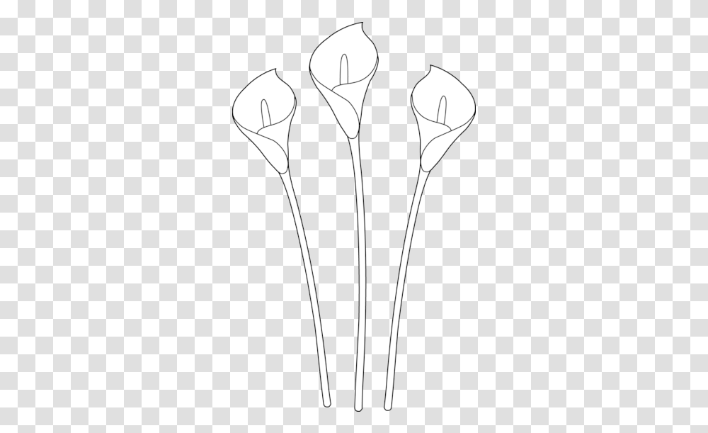 Calla Lily Clipart Line Drawing Easy Drawing Flowers Lily, Plant, Tie, Electronics, Necktie Transparent Png