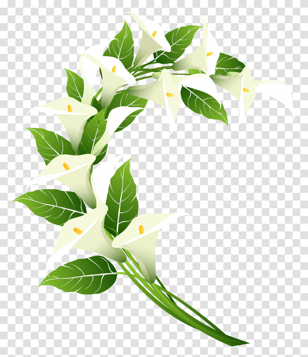 Calla Lily Decoration Clip Art, Green, Recycling Symbol, Leaf, Plant Transparent Png