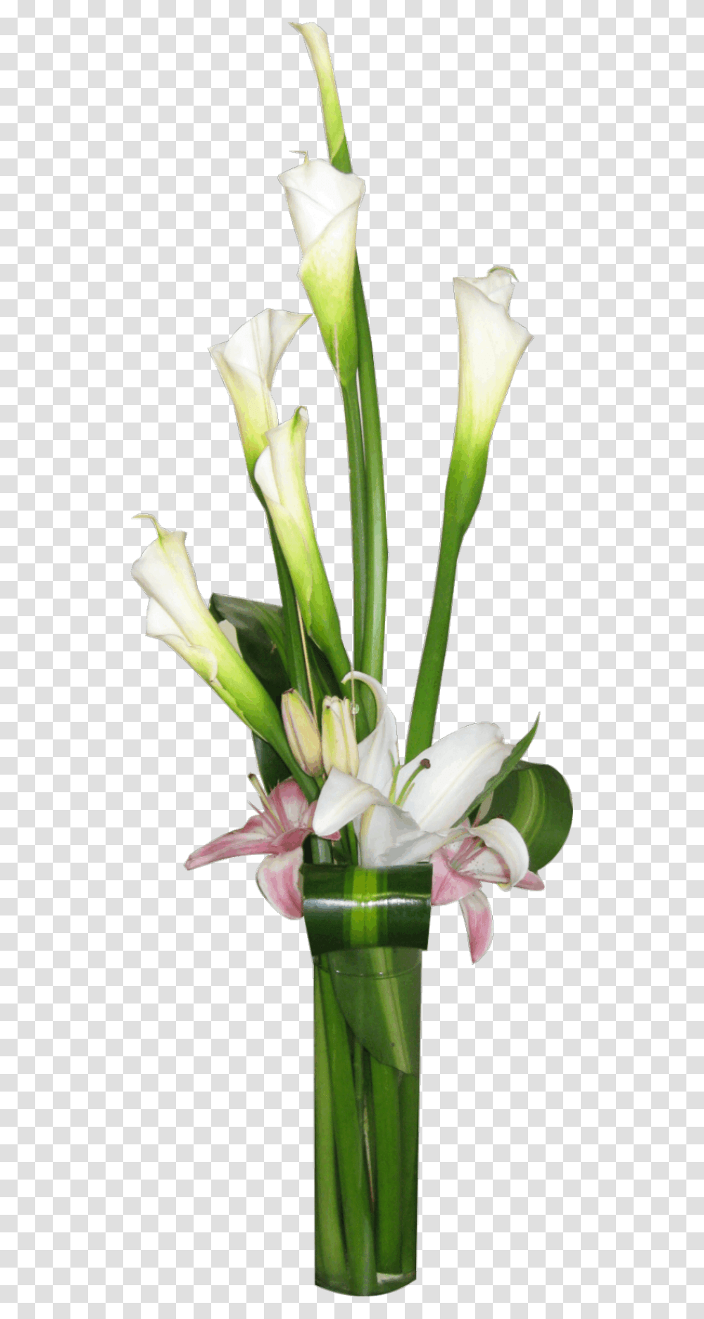 Calla Lily Flower Arrangements Modern Flower Vase, Plant, Blossom, Amaryllidaceae, Amaryllis Transparent Png