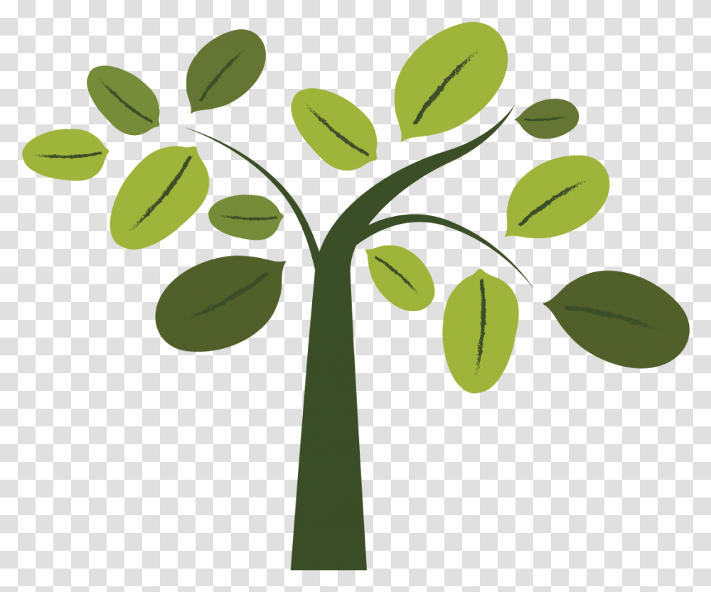 Called To Lead, Green, Plant, Leaf Transparent Png