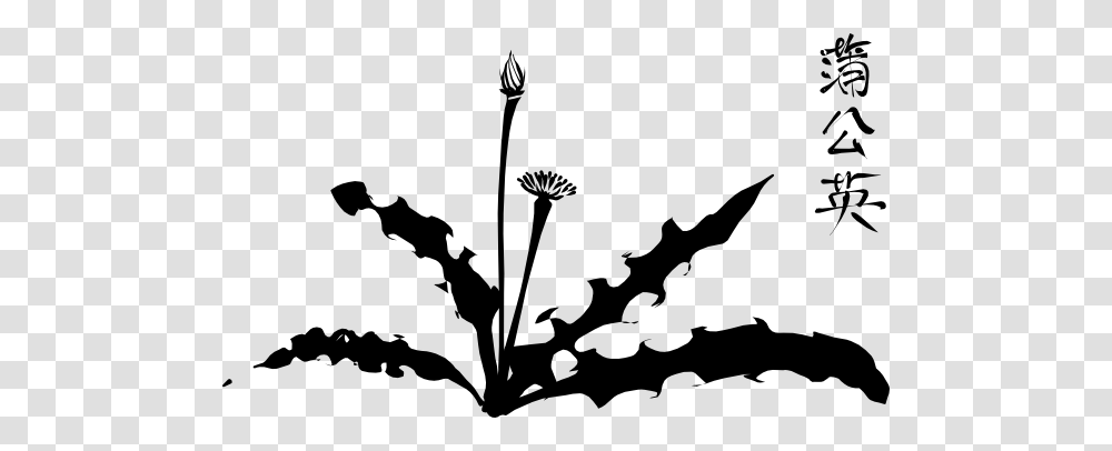 Calligraphic Dandelion Clipart For Web, Plant, Flower, Blossom, Stencil Transparent Png