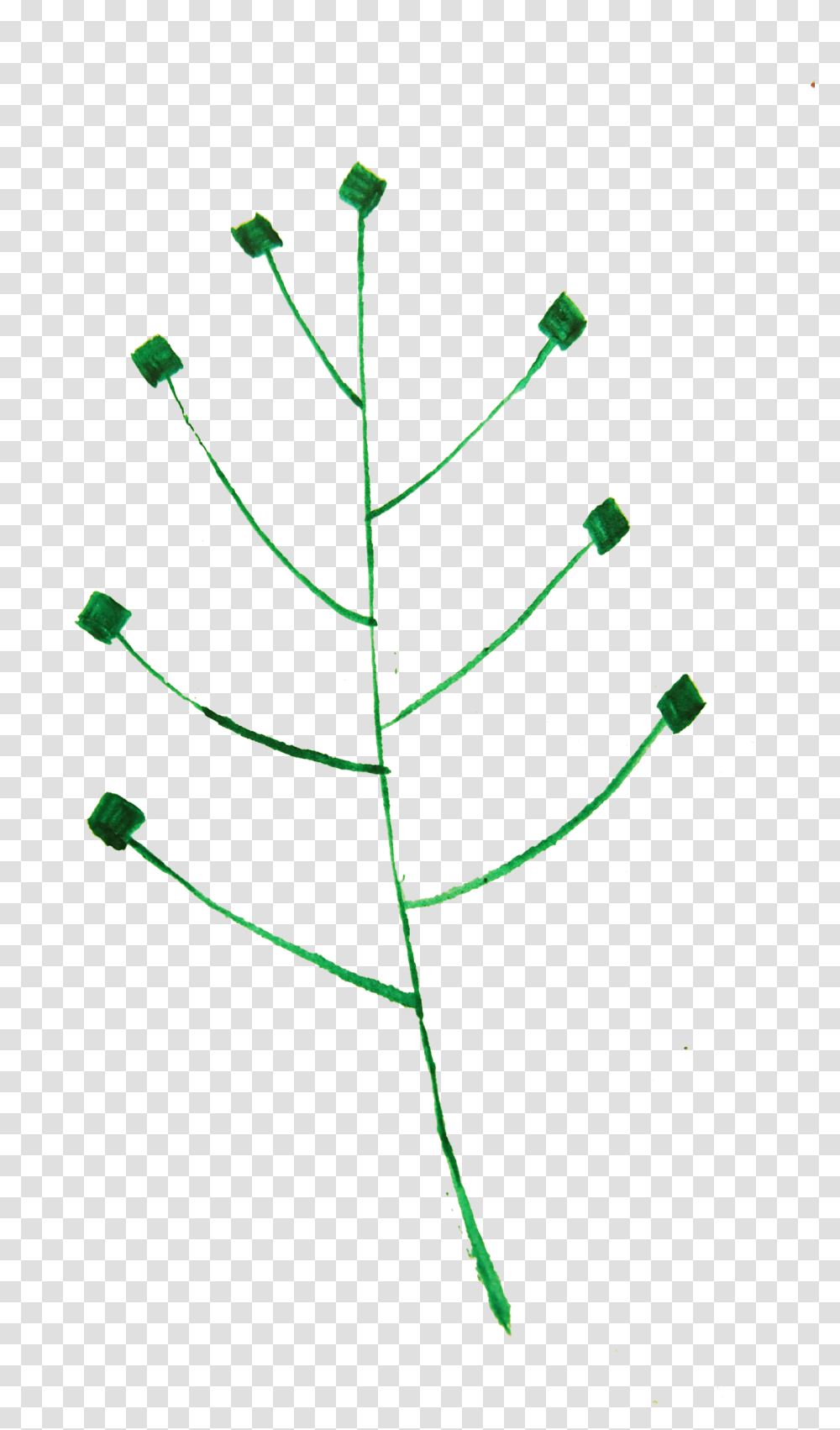 Calligraphic Illustration Leaf Twig Plant 1 Clip Christmas Tree, Insect, Invertebrate, Animal, Flower Transparent Png