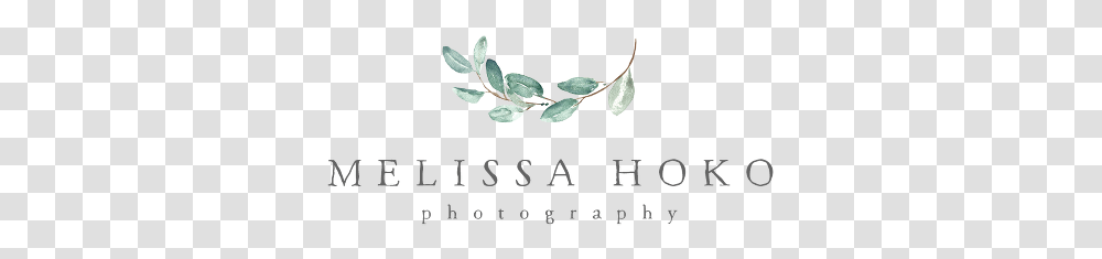 Calligraphy, Accessories, Accessory, Plant Transparent Png
