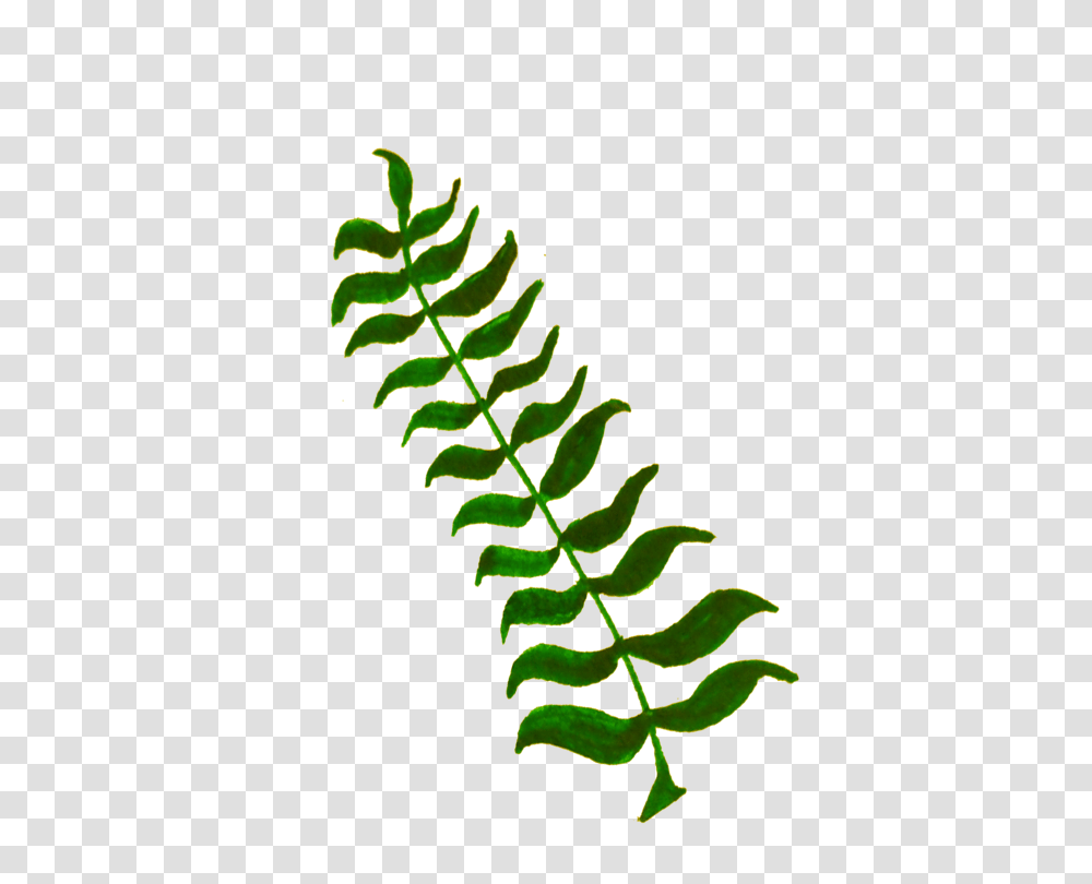 Calligraphy Computer Icons Plant Stem Leaf Twig, Fern, Green Transparent Png