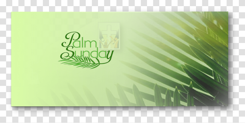 Calligraphy, Monitor, Plant, Meal Transparent Png