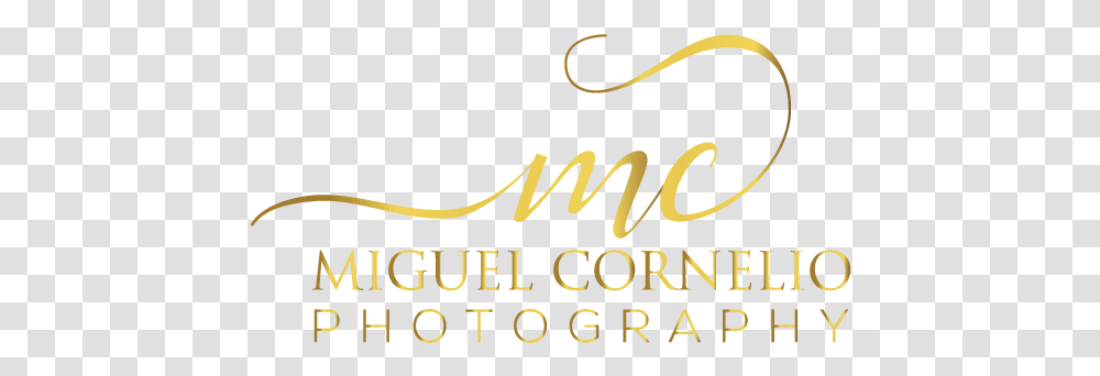 Calligraphy, Alphabet, Word, Label Transparent Png