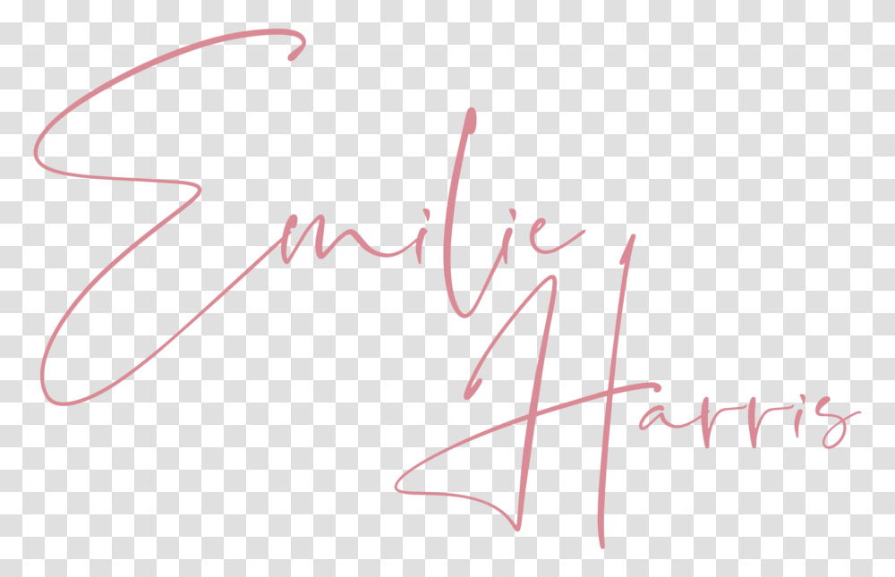 Calligraphy, Bow, Handwriting, Signature Transparent Png