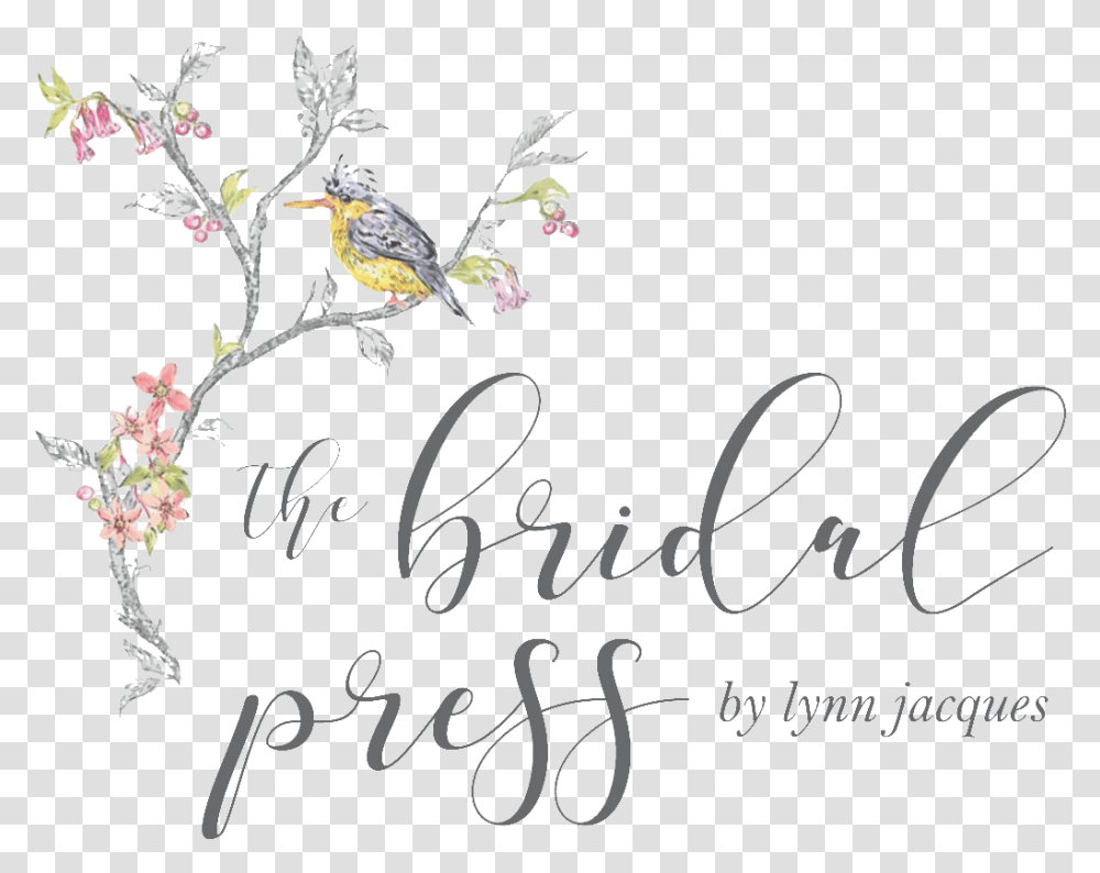 Calligraphy, Flower, Plant, Blossom Transparent Png