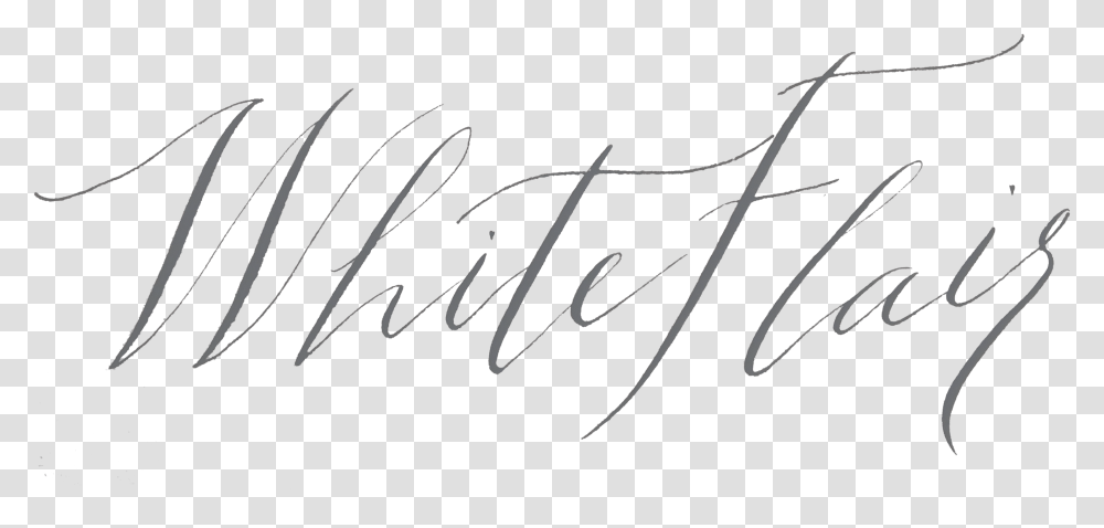 Calligraphy, Handwriting, Bow, Insect Transparent Png
