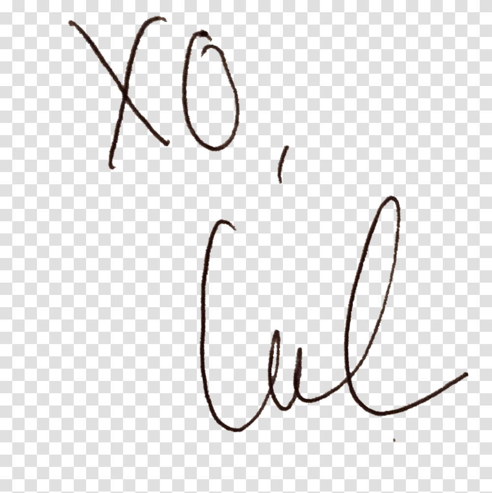 Calligraphy, Handwriting, Bow, Signature Transparent Png