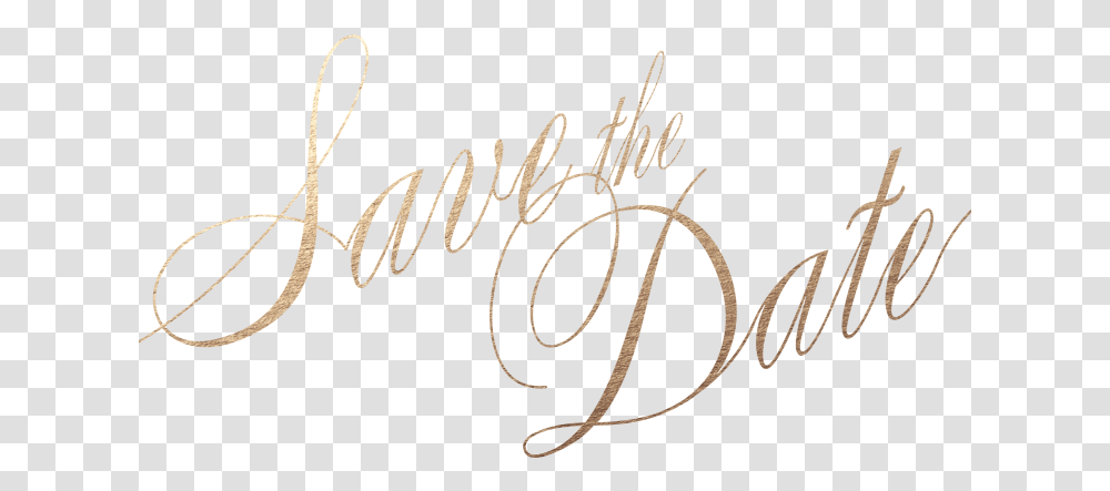 Calligraphy, Handwriting, Letter, Label Transparent Png