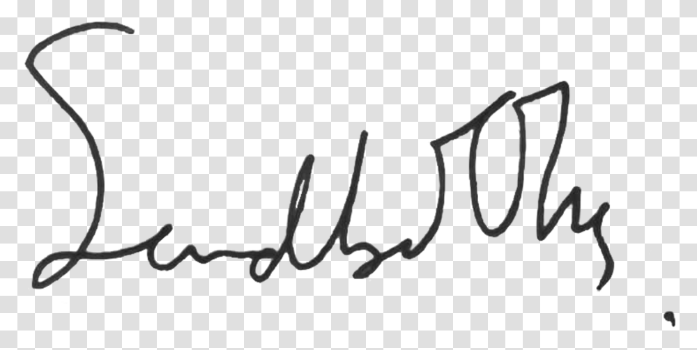 Calligraphy, Handwriting, Signature, Autograph Transparent Png