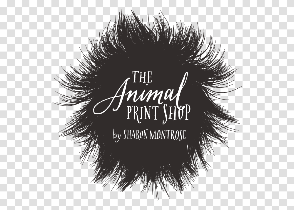 Calligraphy, Mammal, Animal, Fur Transparent Png