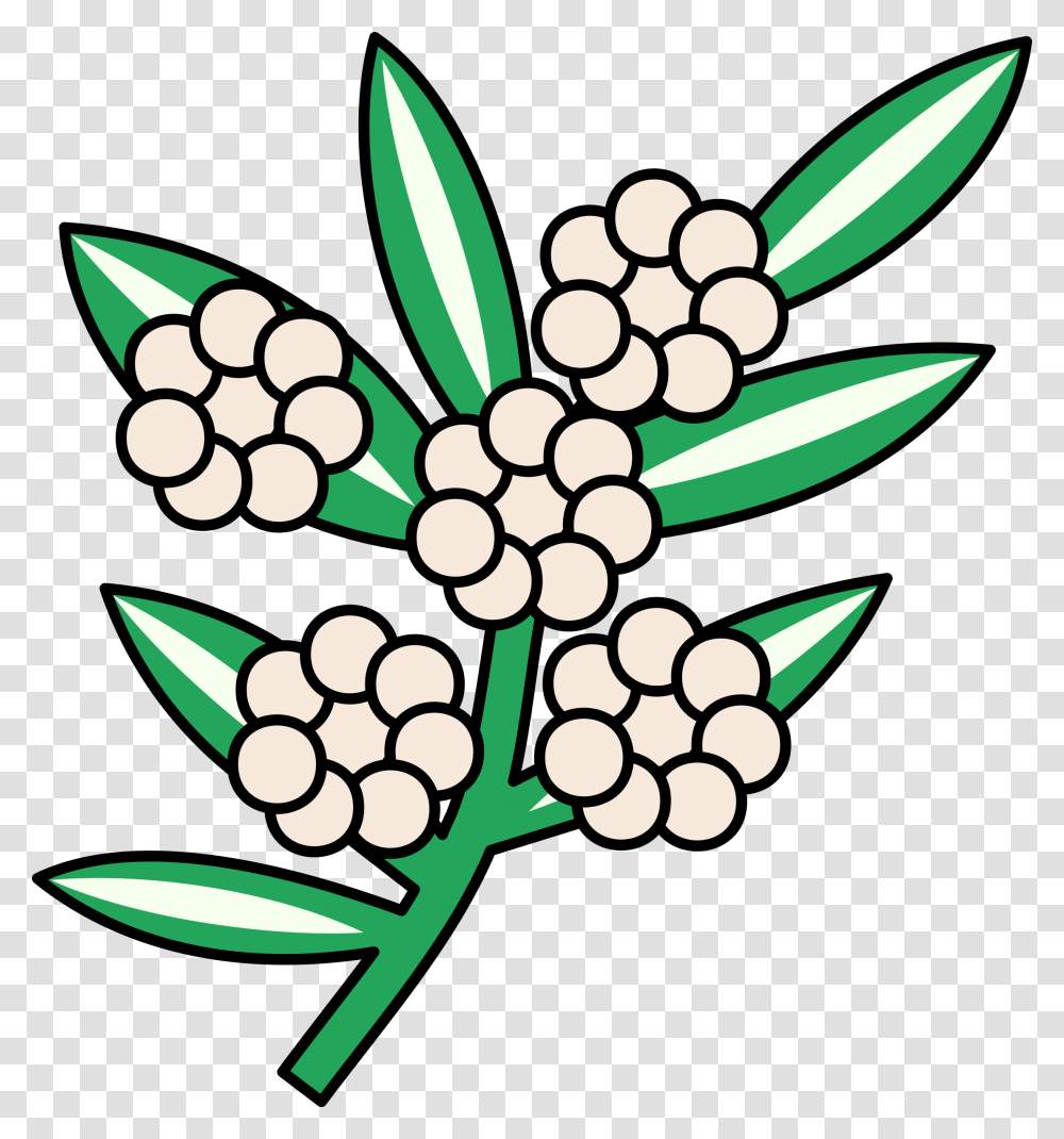 Calophyllum Flowers Clip Arts, Floral Design, Pattern, Plant Transparent Png