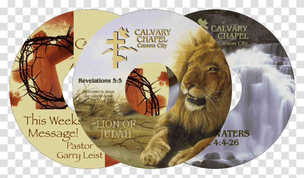 Calvary Chapel Cds Masai Lion, Disk, Dvd, Dog, Pet Transparent Png