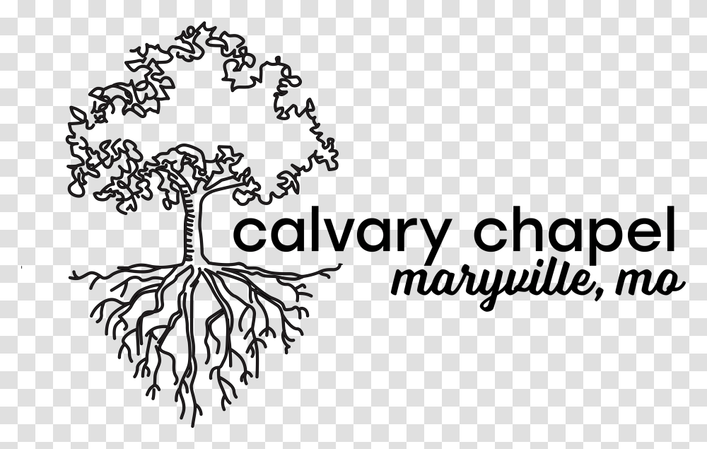 Calvary Chapel Illustration, Root, Plant Transparent Png