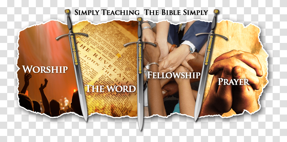 Calvary Chapel Inverness Erotic, Text, Page, Person, Paper Transparent Png