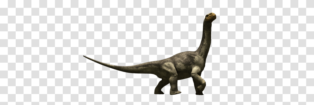 Camarasaurus, Fantasy, T-Rex, Dinosaur, Reptile Transparent Png