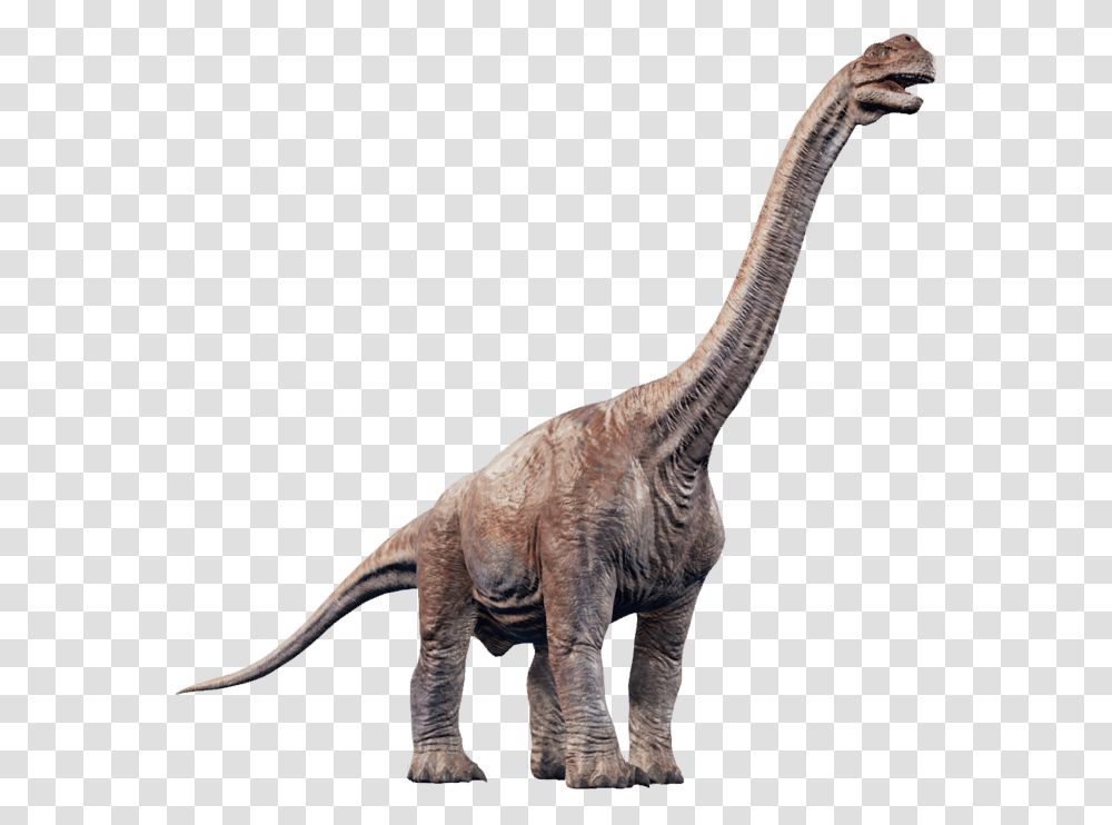 Camarasaurus Jurassic World Evolution, Dinosaur, Reptile, Animal, T-Rex Transparent Png