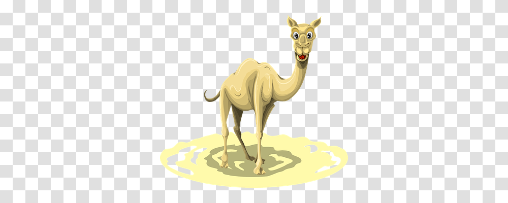 Camel Nature, Mammal, Animal Transparent Png