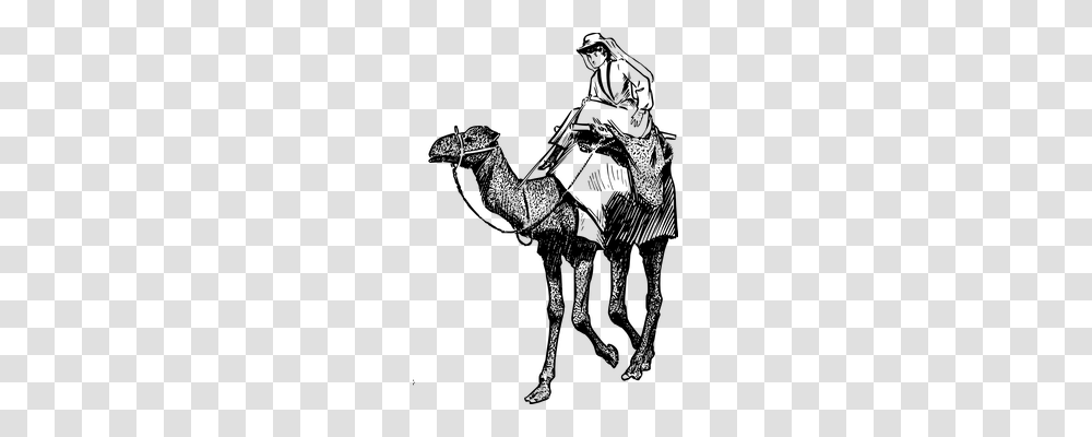 Camel Person, Gray, World Of Warcraft Transparent Png